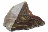 Tiger Iron Stromatolite Stand Up - Billion Years #354889-1